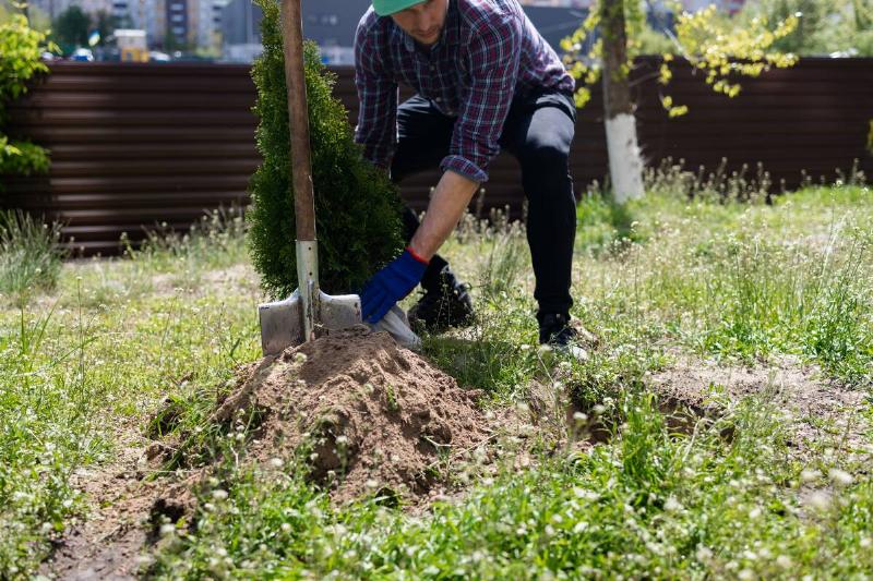 A man planting a tree with a shovel. 