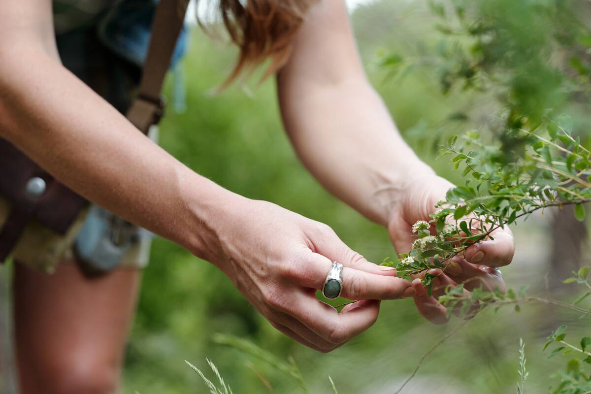 Woman examining green plant outdoors.