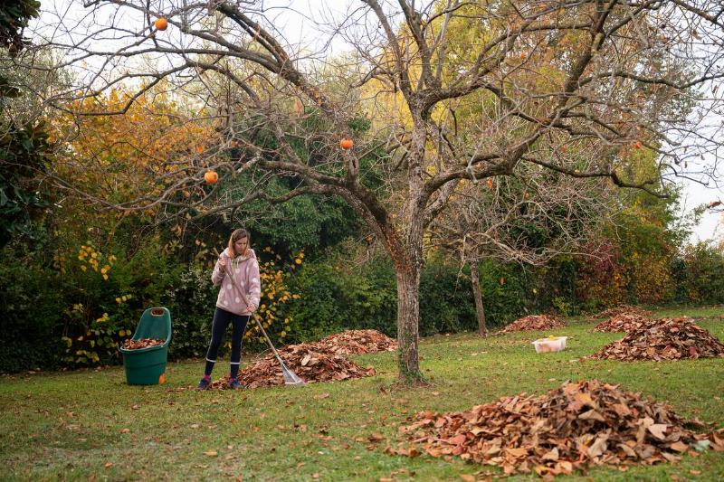 Young woman raking autumn leaves in the backyard