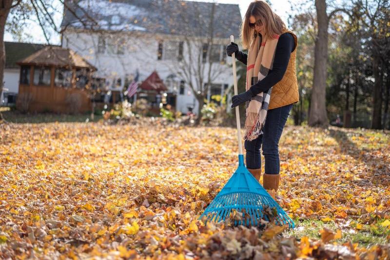 Woman raking leaves in the backyard.