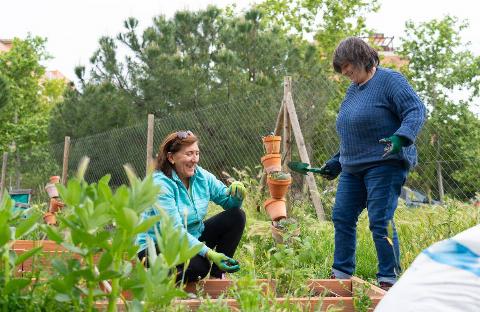 Two women working together in a community garden. 