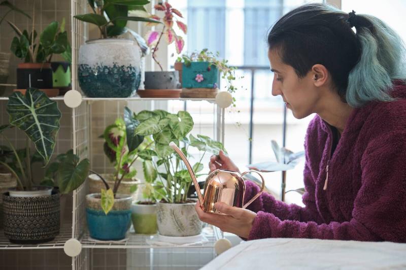 Young woman taking care of plants in winter.