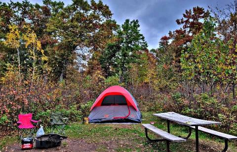 Fall foliage and camping at st croix state park.