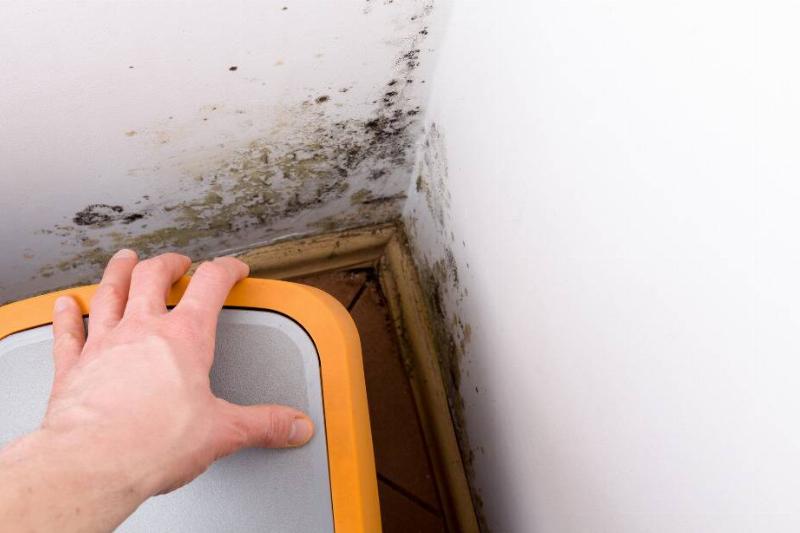 Hand moving chair to show mold.