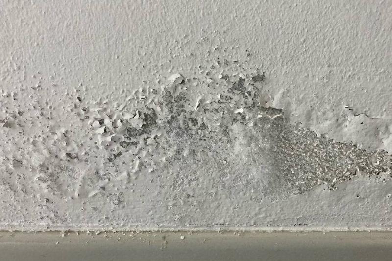 Moisture in wallpaper.