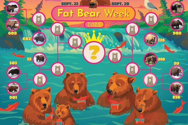 The bracket for Fat Bear Week 2025.