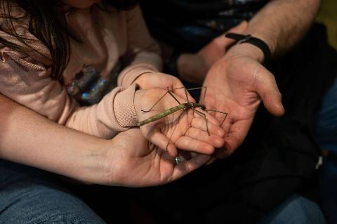 Arthropods Workshop taught by the entomologist and environmental disseminator Sergi Romeu Valles at Zaragoza River Aquarium, the largest in Europe