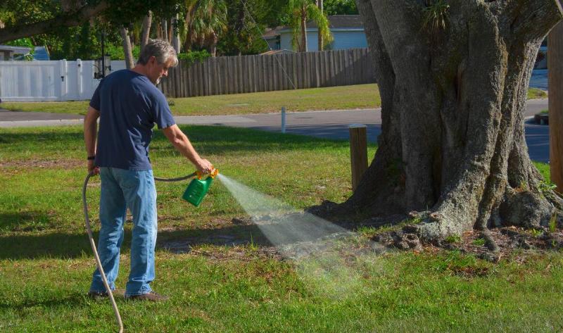 A man spraying weed killers on his own lawn.