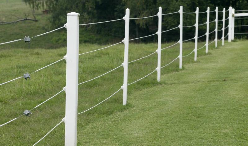 A white wire fence with wooden posts.
