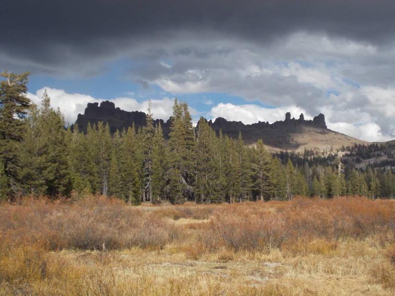 A landscape shot of the Emigrant Wilderness.