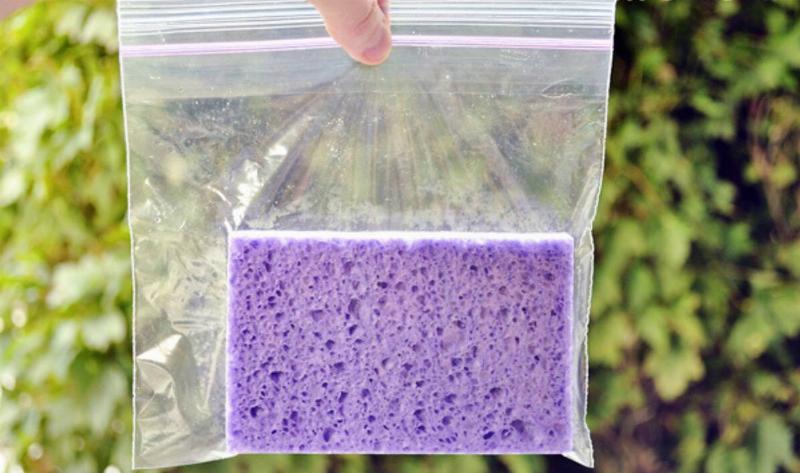 A hand holding a ziploc bag with a purple sponge in it.