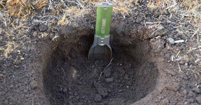 A cathole dug in the ground, a small trowel sticking out of it.