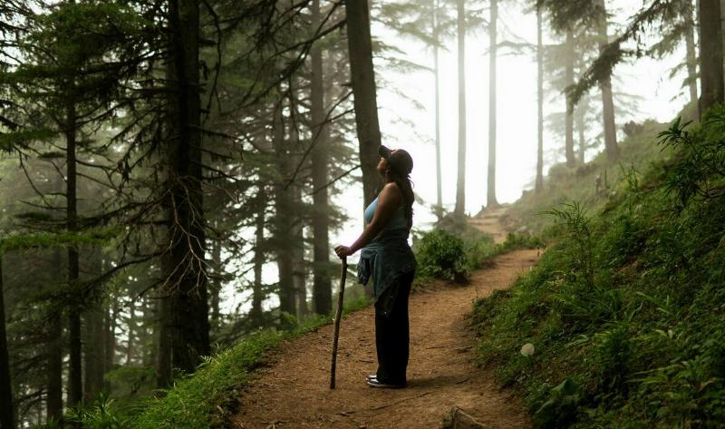 A young woman standing on a wooded hiking trail, looking up at the trees.