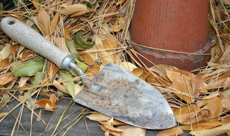 A dirty garden trowel with a wooden handle.