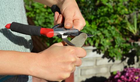 A person sharpening their shears with a sharpening stone.
