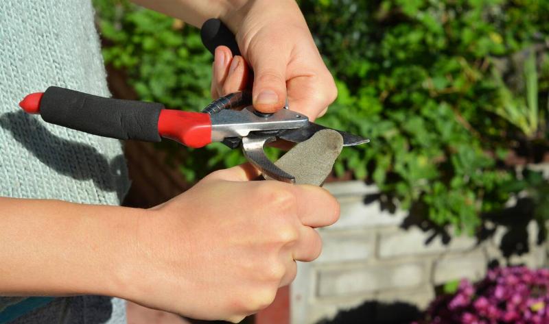 A person sharpening their shears with a sharpening stone.