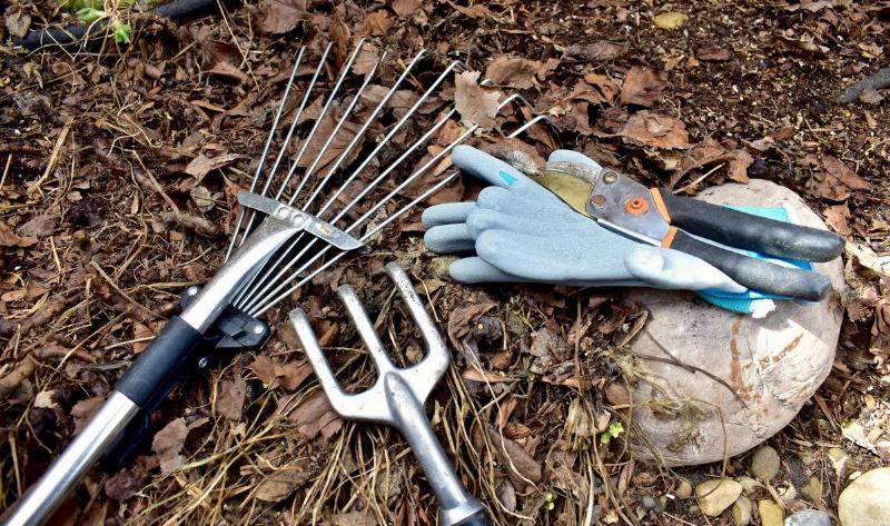 Some garden tools and a pair of gloves on the ground atop some leaf litter.