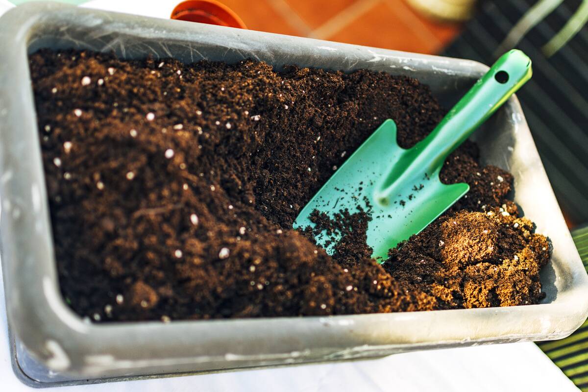 Green shovel for planting, half buried in the gardening arena.