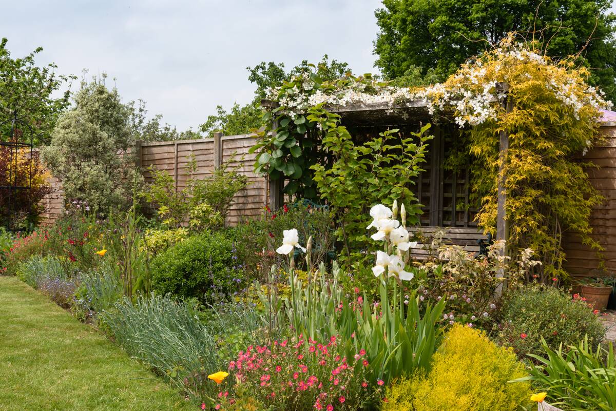A lush back garden with a large variety of plants.