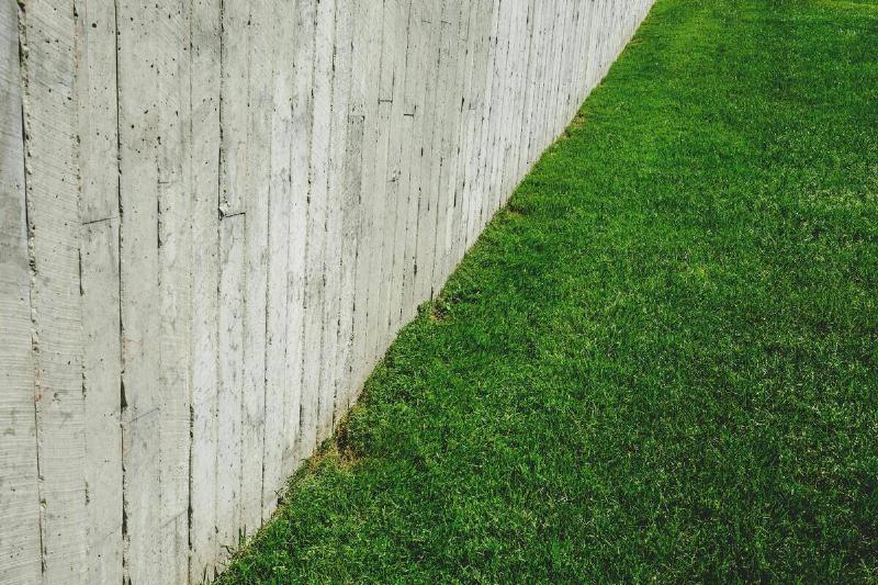 A short, green lawn next to a wood fence line.