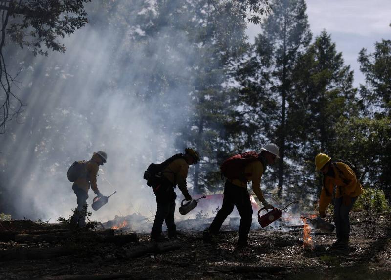 Firefighters train Prescribed Burn Association (PBA) members in using a drip torch to ignite a controlled burn at the Pacific Union College Forest on May 15, 2025 in Angwin, California.