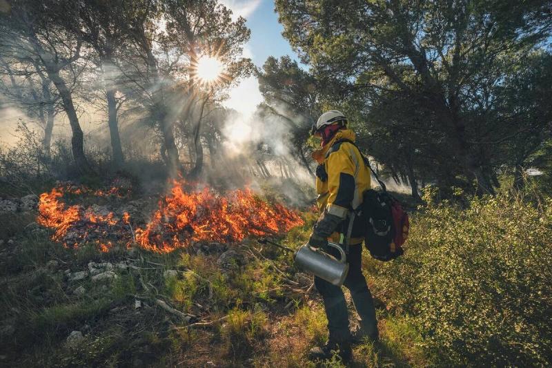 A firefighter stands by a controlled burn in a forest environment in Bages, southwestern France, on January 18, 2025.