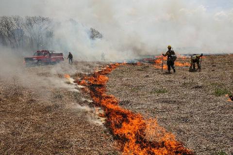 Forest rangers light and control a fire during a prescribed grassland burn inside a tract of land near the intersections of NY Routes 25 and 25A in Calverton, New York on May 5, 2022.