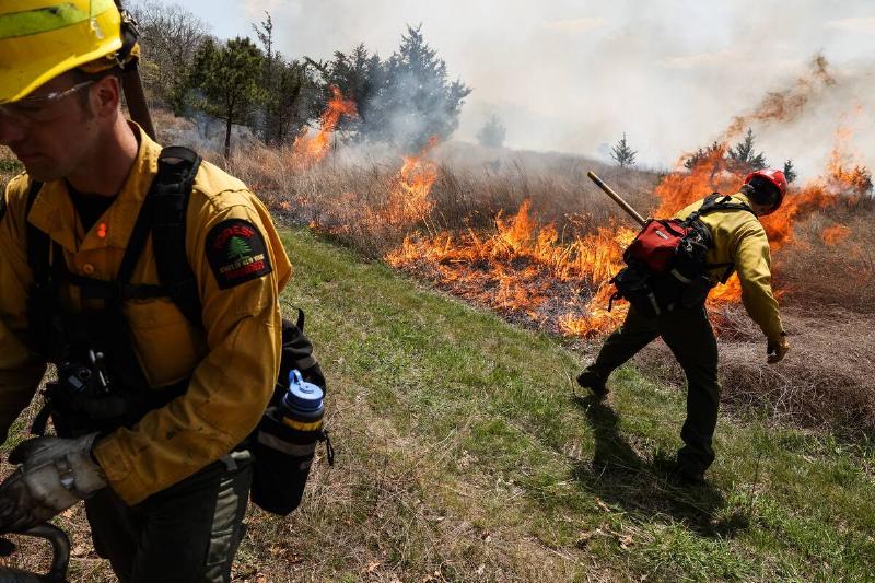 Forest rangers light and control a fire during a prescribed grassland burn inside a tract of land near the intersections of NY Routes 25 and 25A in Calverton, New York on May 5, 2022.