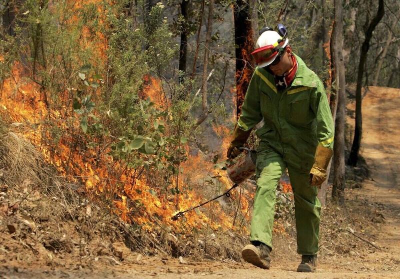 A firefighter shields himself from the heat while doing back-burning in scrubland close to Mt Beauty on December 12, 2006 in Melbourne, Australia.
