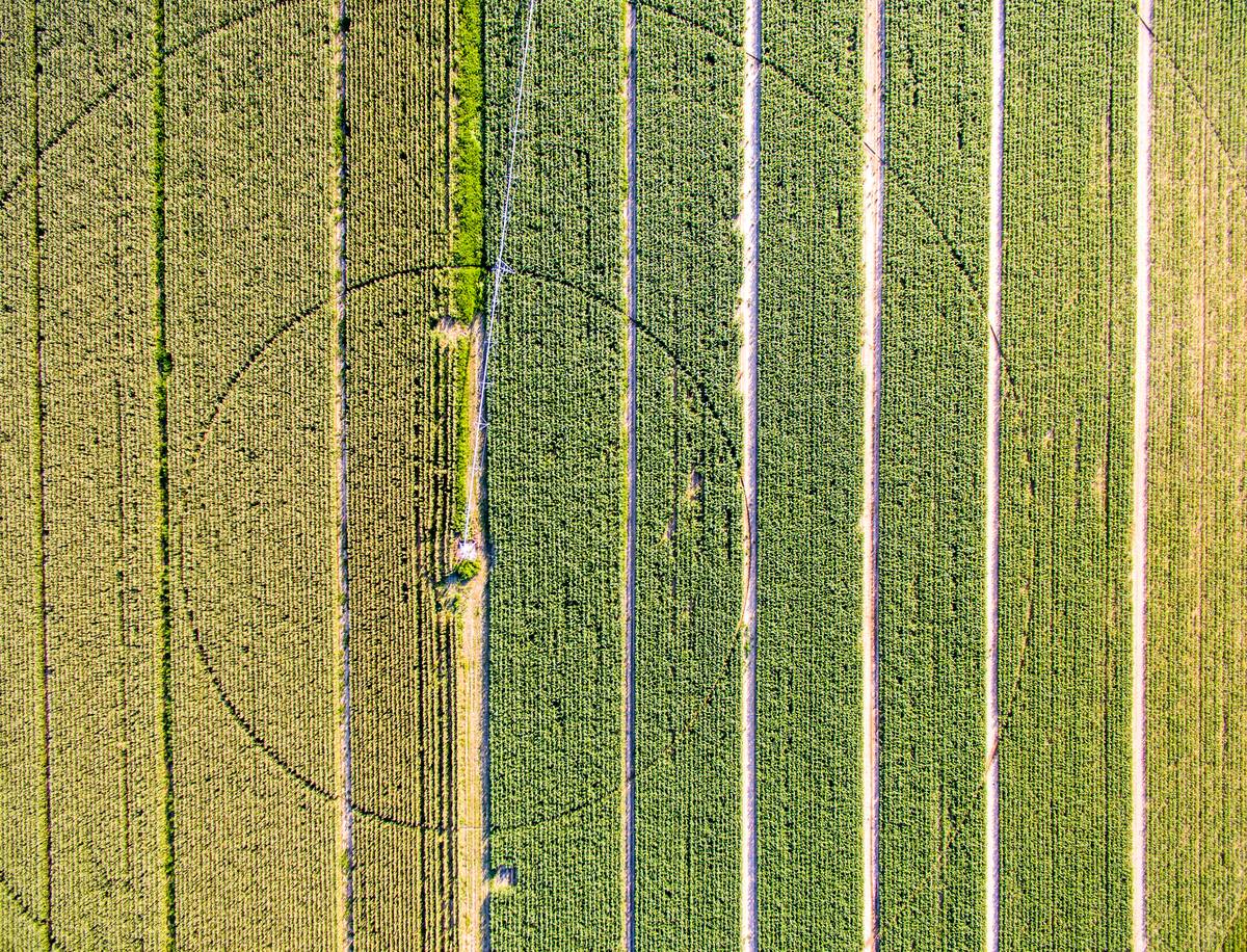 An aerial view of fields with rows of various crops and a pivot irrigation system at a local Maryland farm.