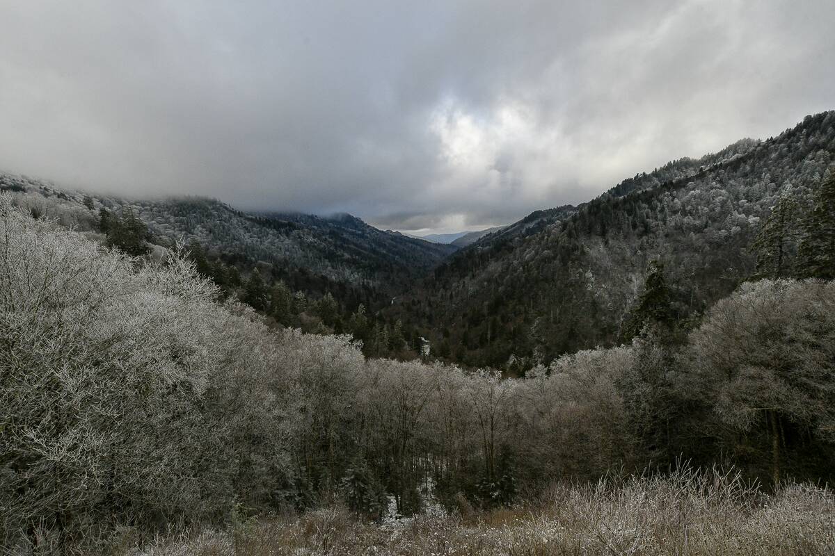 Tourists tour the mountains on the border between the territories of  Tennessee and North Carolina in Great Smoky Mountains National Park on 
November 1
