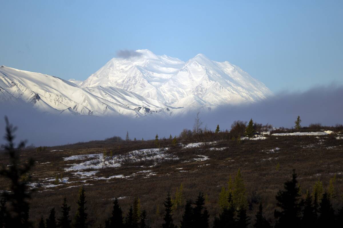 Mount McKinley appears above a fog layer in the early morning hours of May 14, 2025 in Denali National Park, Alaska.