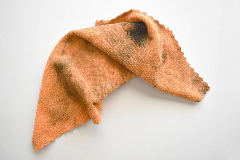 Mold growing on a cloth.