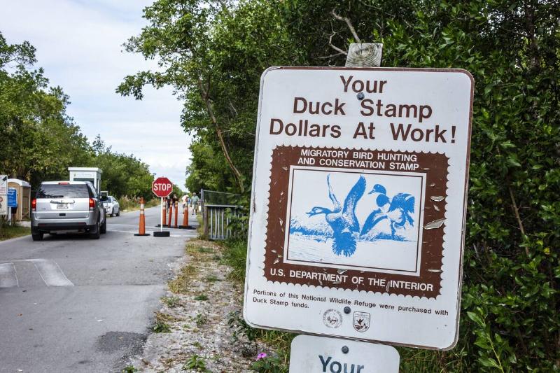 Florida, Sanibel Island, JN Ding Darling National Wildlife Refuge, Duck Stamp Sign