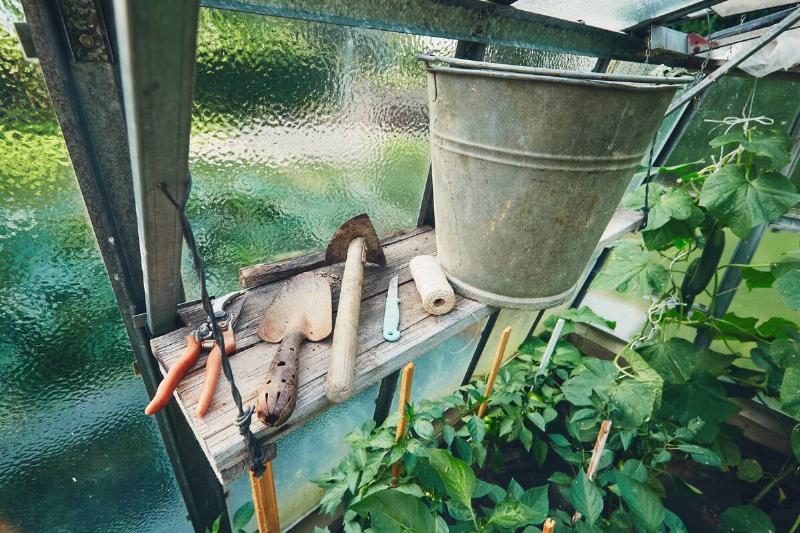 Old gardening tools in a shed.