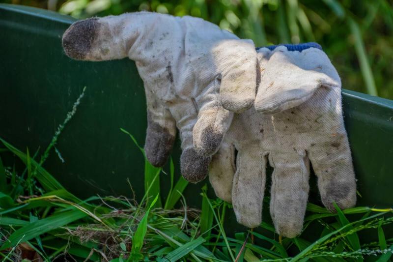 Dirty garden gloves.