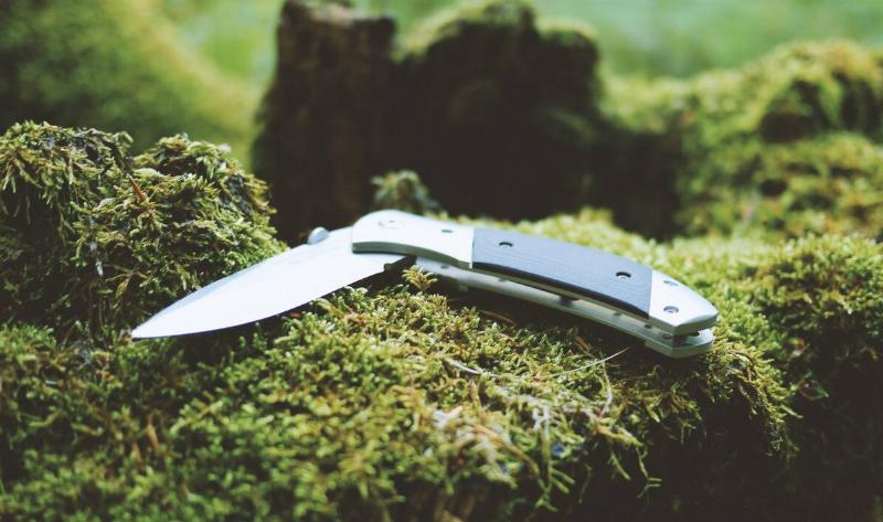 A half-folded pocket knife atop a mossy tree.
