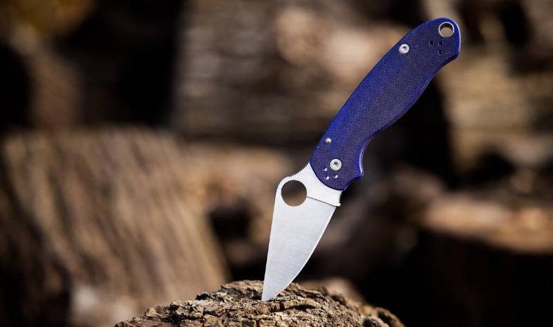 A pocket knife stabbed into a tree.