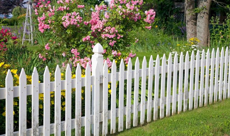 A white picket fence next to a a flowering garden.