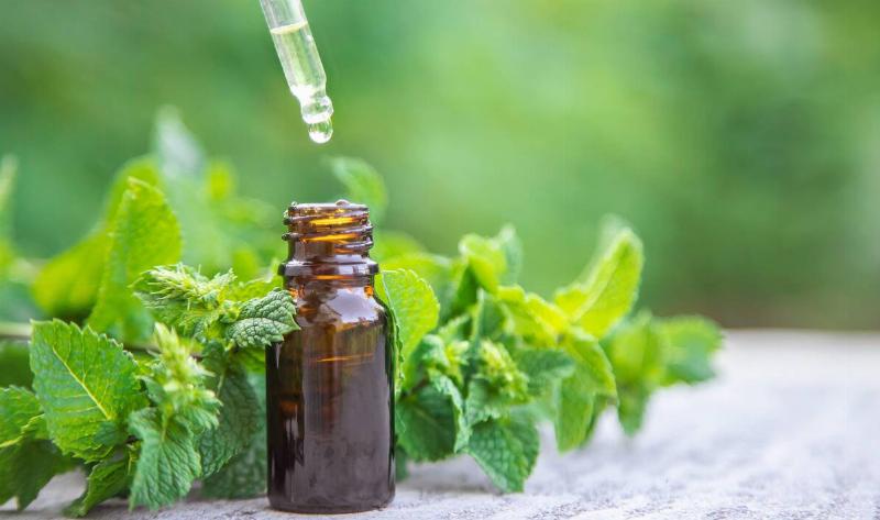 A bottle of oil with a dropper above it, the bottle among some picked mint leaves.