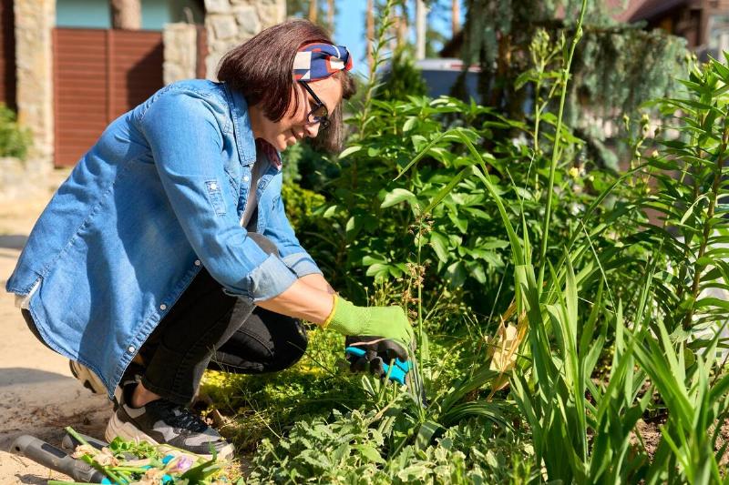 A woman kneeling in her garden, pruning some plants.
