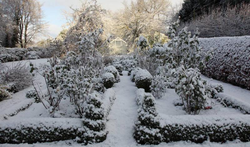 A large garden covered in snow.