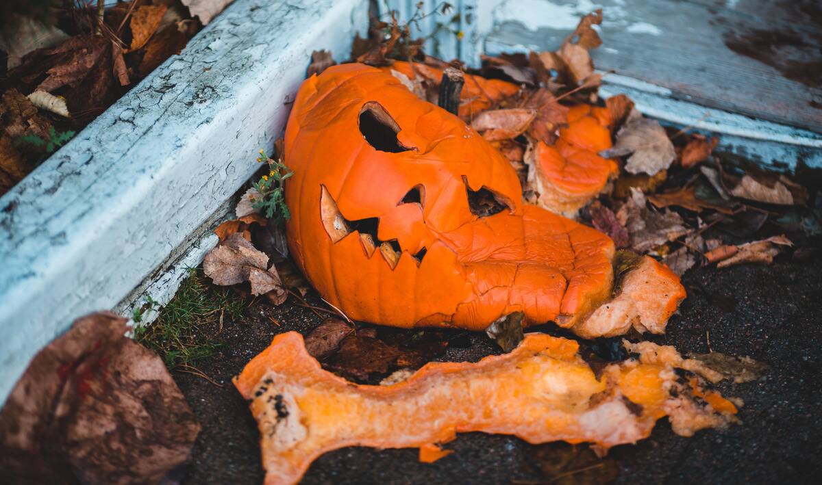 A jack-o-lantern rotting into the ground.