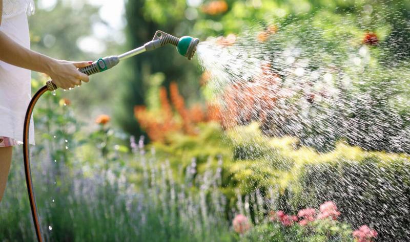 A person watering their garden with a hose.