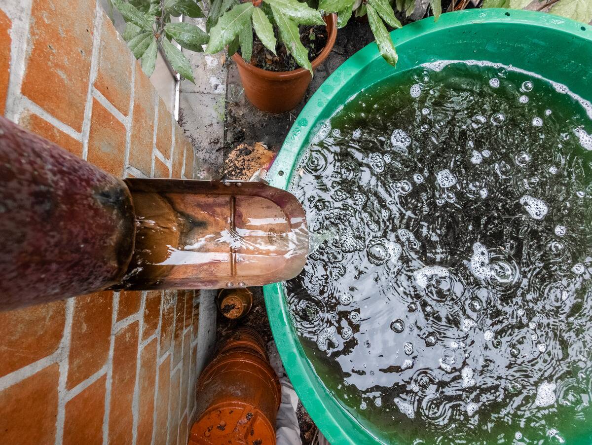 Rainwater runs into a rainwater barrel.