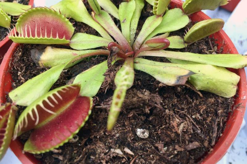 Spring Season In Canada