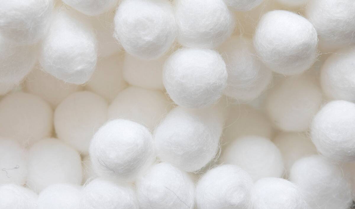 A bunch of cottonballs.