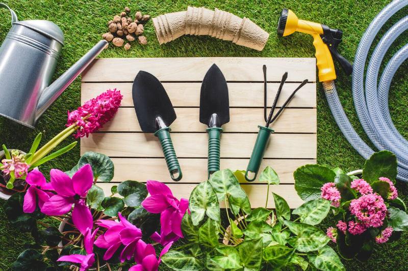 Top view of gardening equipment and flowers on grass.