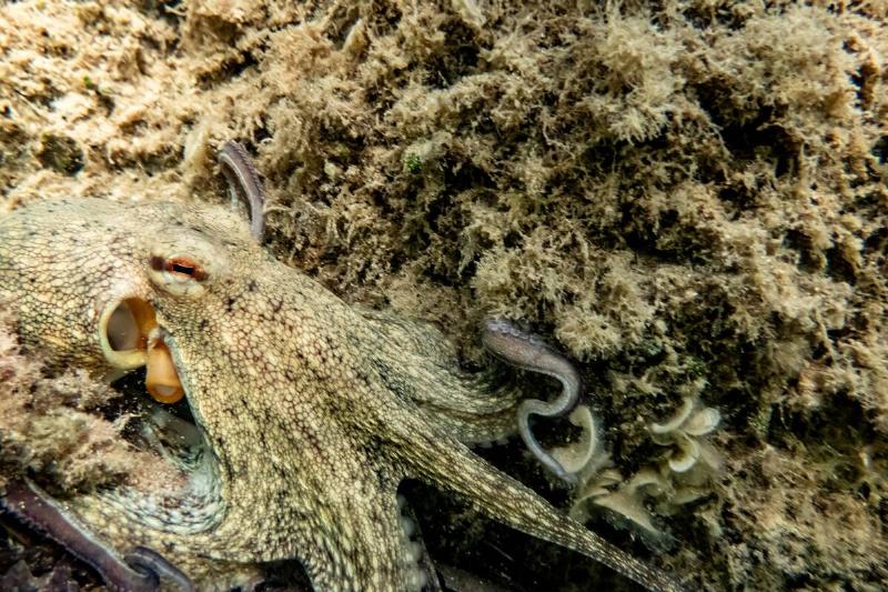 Travel Destination : Sardinia