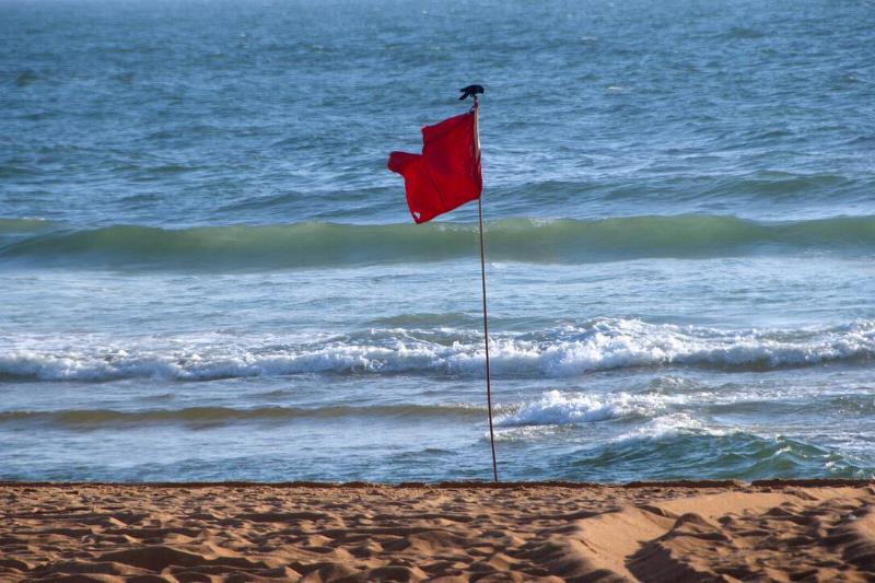Flag on a beach.